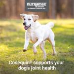 Nutramax Cosequin Chewable Joint Health for Dogs