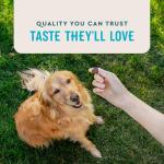 VetIQ Hip & Joint Chews for Dogs 60 Count