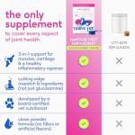Native Pet Hip & Joint Supplement for Dogs