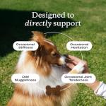 Joint Care Chews for Dogs with Glucosamine & Omega 3