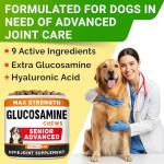 Glucosamine Chondroitin Joint Chews for Dogs