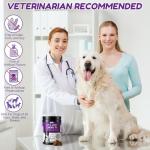 Hip and Joint Supplement for Dogs - 180 Chews