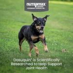 Nutramax Dasuquin Joint Health Soft Chews for Dogs