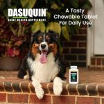 Nutramax Dasuquin MSM Chewables for Small Dogs