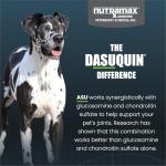Nutramax Dasuquin Joint Supplement for Large Dogs