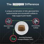 Dasuquin Joint Health for Large Senior Dogs