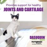 Nutramax Dasuquin Joint Supplement for Cats, 84 Chews