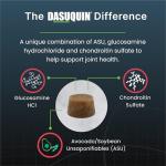 Nutramax Dasuquin Joint Health Soft Chews for Dogs