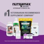Nutramax Dasuquin Joint Supplement for Cats, 84 Chews