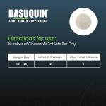 Dasuquin Joint Health Chewable Tablets for Large Dogs