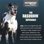 Dasaquin Large Dog Joint Chew Tablets (150 Count)
