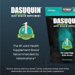 Nutramax Dasuquin Large Dog Joint Health Soft Chews