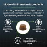 Nutramax Dasuquin Large Dog Joint Health Soft Chews