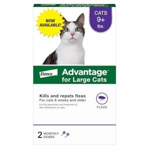 Advantage Flea Treatment for Large Cats | 2 Months