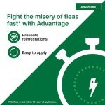 Advantage Flea Treatment for Large Cats | 2 Months