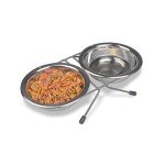 Van Ness Raised Double Dish Feeder for Cats and Dogs