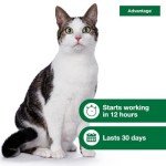 Advantage Flea Treatment for Large Cats | 2 Months