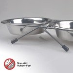 Van Ness Raised Double Dish Feeder for Cats and Dogs