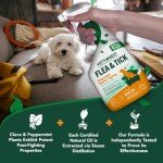 Plant-Based Flea & Tick Spray for Dogs