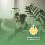 Bark2Basics Pet Grooming Cologne - Vanilla Raspberry