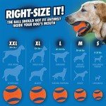 Chuckit Ultra Ball Dog Toy, Medium Size, Pack of 2