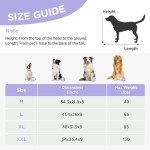 Outdoor Cooling Dog Bed for Large Dogs, Easy Assemble