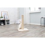 TRIXIE Parla Scratching Post | 24.5" Tall, Beige