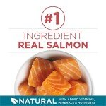 Natural Purina ONE Dry Cat Food with Real Salmon