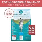 Natural Purina ONE Dry Cat Food with Real Salmon