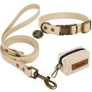 Adjustable Dog Collar & Leash Set Combo for Dogs