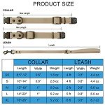 Adjustable Dog Collar & Leash Set Combo for Dogs