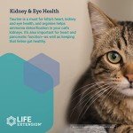 Cat Mix for Heart, Kidney, Pancreas & Gut Health