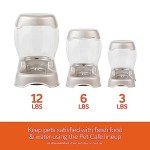 Petmate Pet Cafe Feeder in Pearlescent Colors 3 Sizes