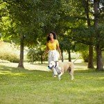 Rachael Ray Nutrish Dog Food - Chicken & Veggie