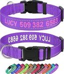 Embroidered Reflective Personalized Dog Collar for Medium Dogs