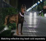 Embroidered Reflective Personalized Dog Collar for Medium Dogs