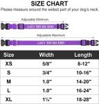 Embroidered Reflective Personalized Dog Collar for Medium Dogs