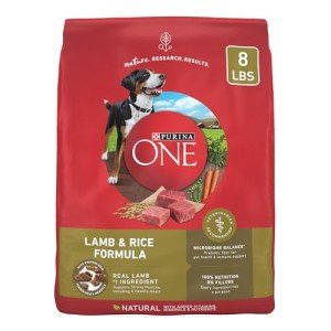 Purina ONE Lamb & Rice Dry Dog Food - 8 lbs