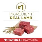 Purina ONE Lamb & Rice Dry Dog Food - 8 lbs