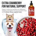 Vitamins and Supplements for Pets