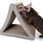 PetFusion Vertical Cat Scratching Post | Scratch Pad, Perch