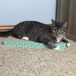 XL Kitty City Cat Scratchers - 3 Piece Set