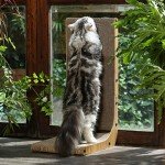 Large L-Shaped Cat Scratcher with Toy Ball