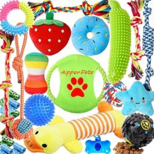 Dog Puppy Toy Bundle for Fun and Teeth Cleaning