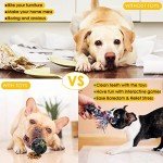 Dog Puppy Toy Bundle for Fun and Teeth Cleaning