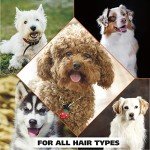 Wahl Dry Skin Relief Pet Shampoo for Dogs