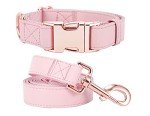 Pink Vegan Leather Dog Collar and Leash Set