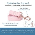 Pink Vegan Leather Dog Collar and Leash Set