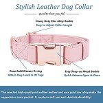 Pink Vegan Leather Dog Collar and Leash Set