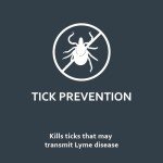 SENTRY Fiproguard for Cats: 6 Month Supply Flea & Tick Prevention